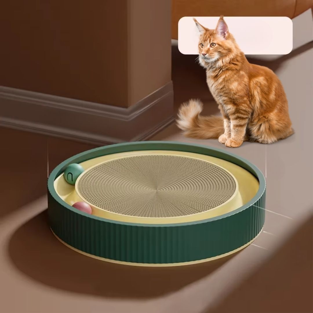 Round Cat Scratcher Bed with Ball