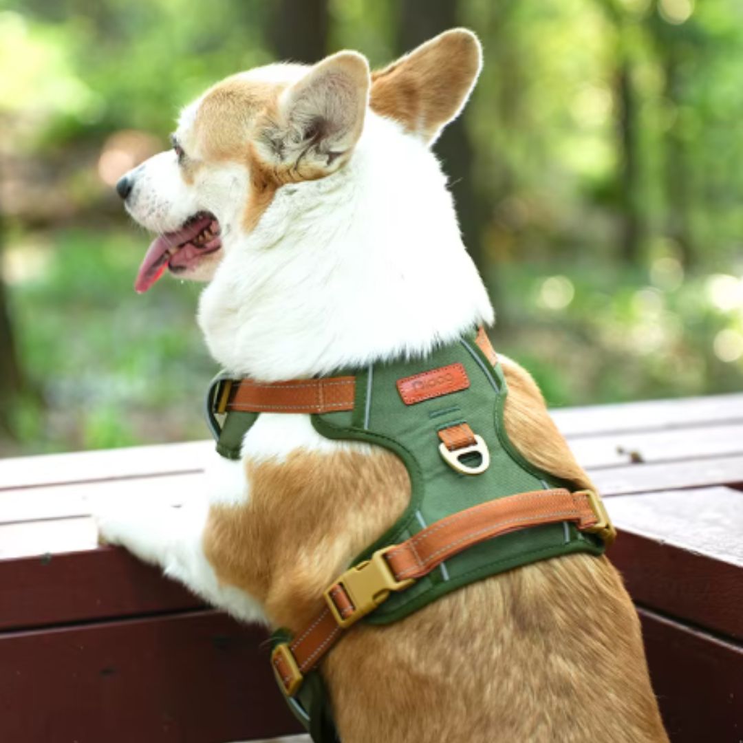 No-Pull Dog Harness