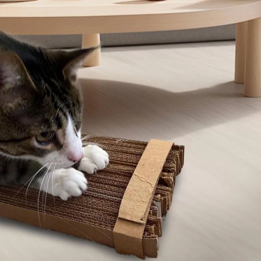 Cardboard Cutter for Cat Scratching Pads