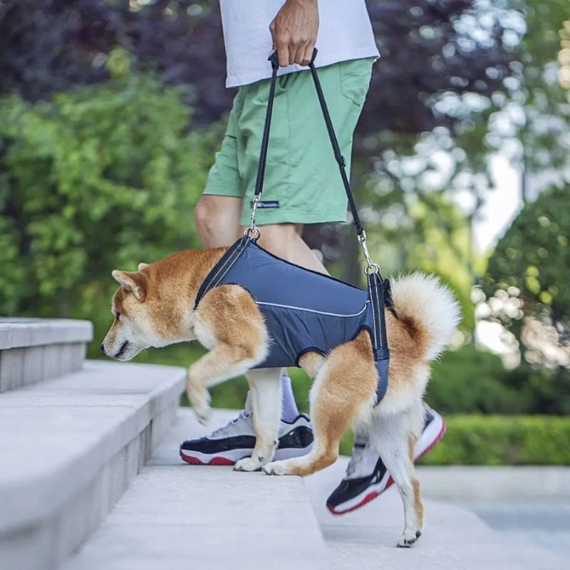 Orthopedic Support Harness for Dogs