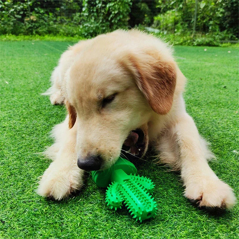 Cactus Dental Chew Toy for Dogs
