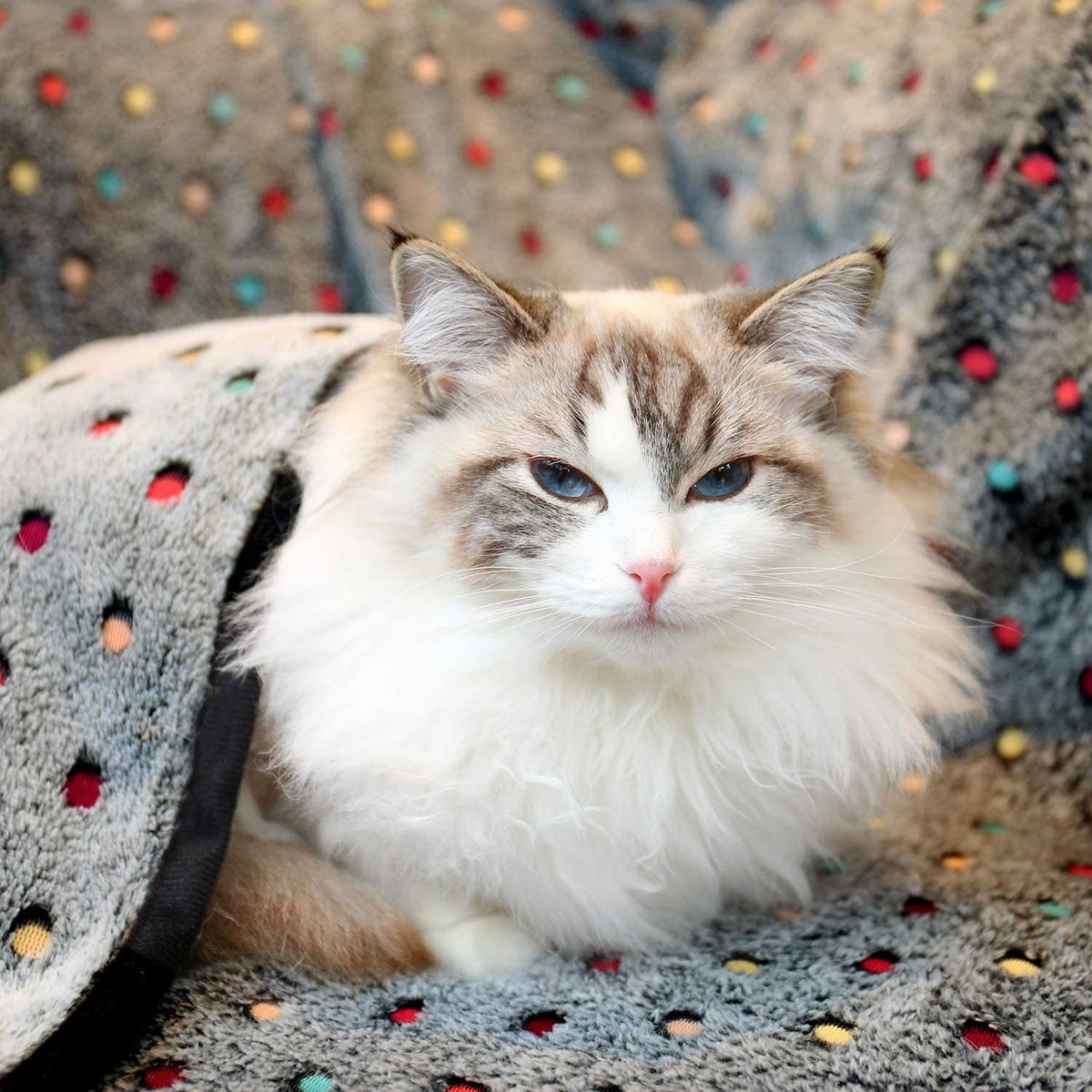 Ultra-Soft Pet Blanket