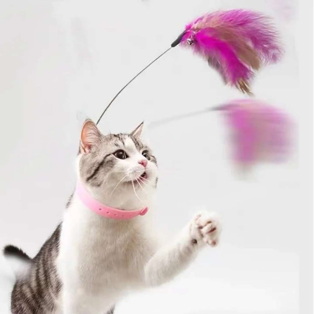 Feather-Chasing Collar Toy for Cats