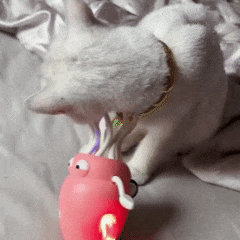 Interactive Dancing Octopus for Pets