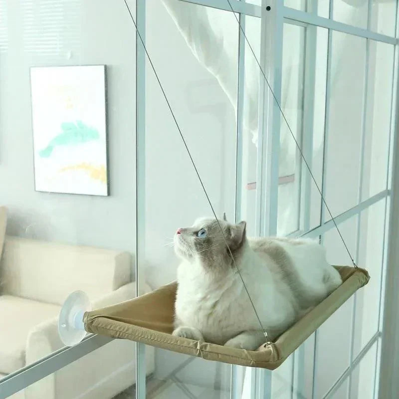 Window-Mounted Cat Bed