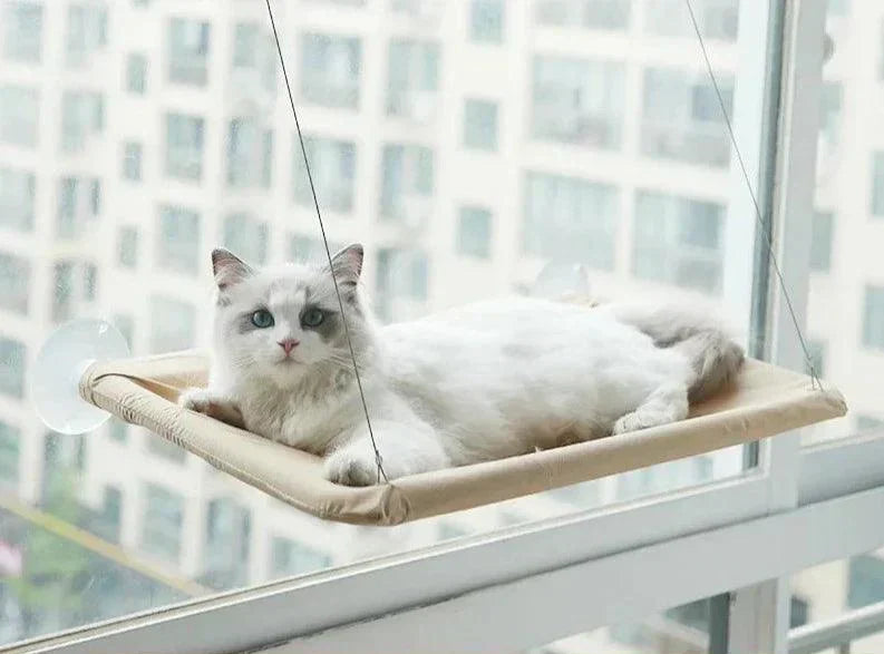 Window-Mounted Cat Bed