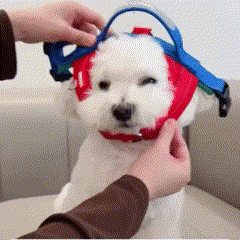 Saddle-Style Dog Harness