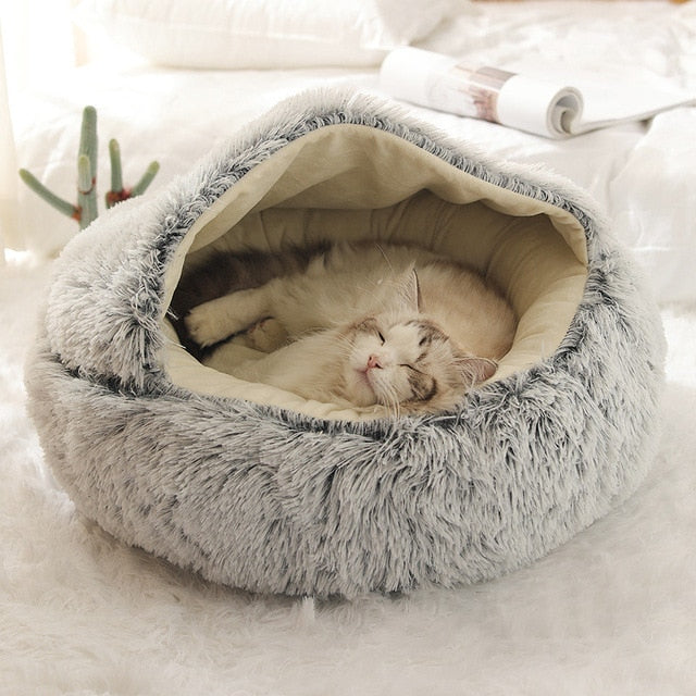 Cloud Pet Cave