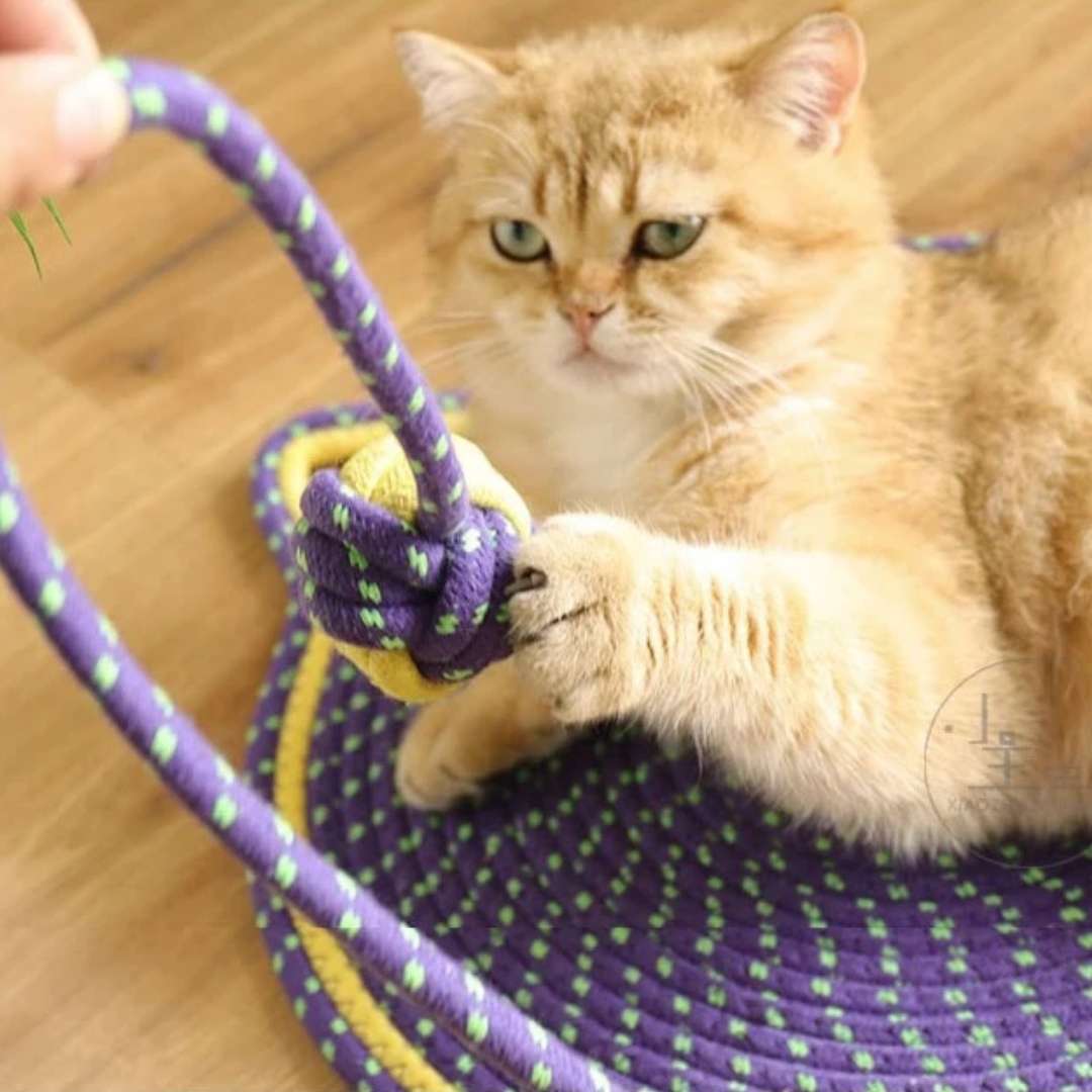 Cat Scratching Mat