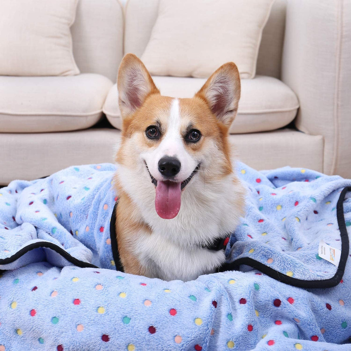 Ultra-Soft Pet Blanket