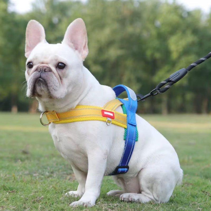 Saddle-Style Dog Harness