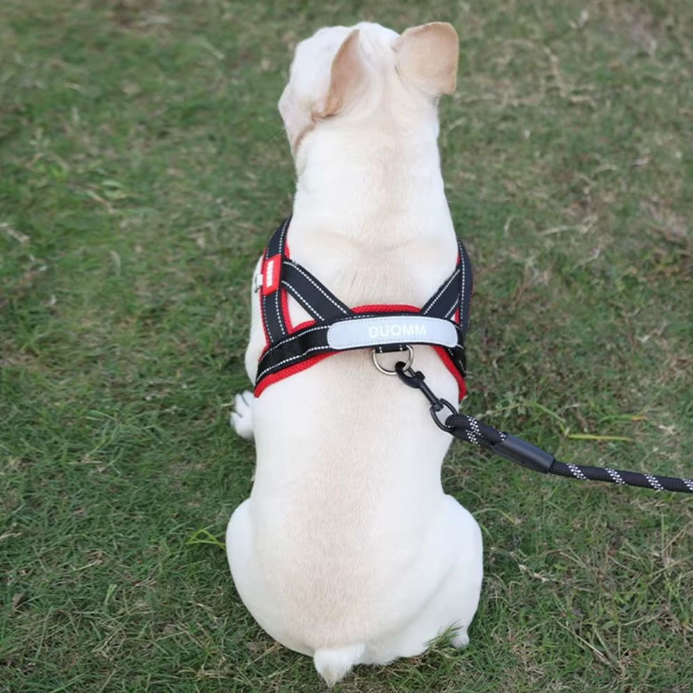 Saddle-Style Dog Harness