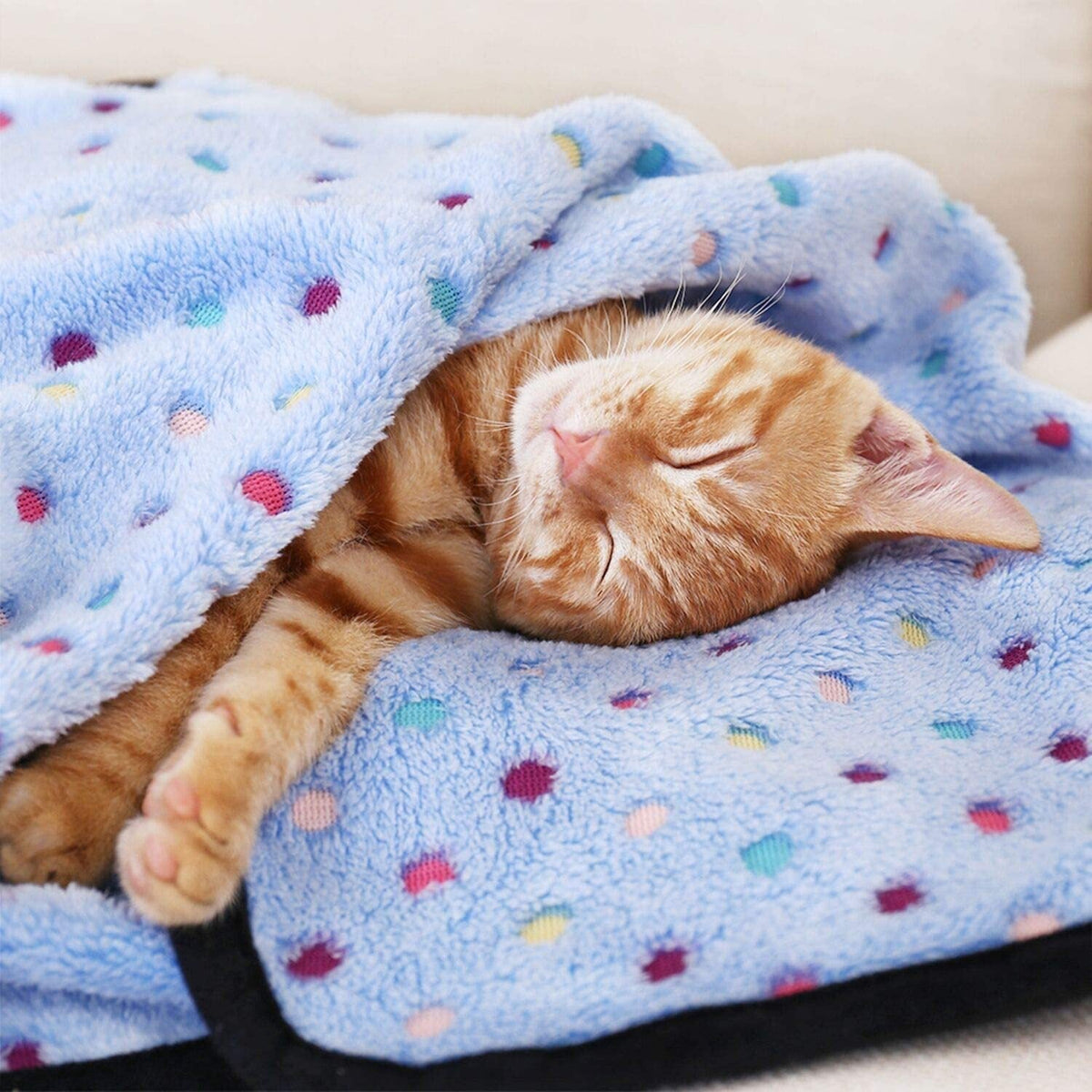 Ultra-Soft Pet Blanket