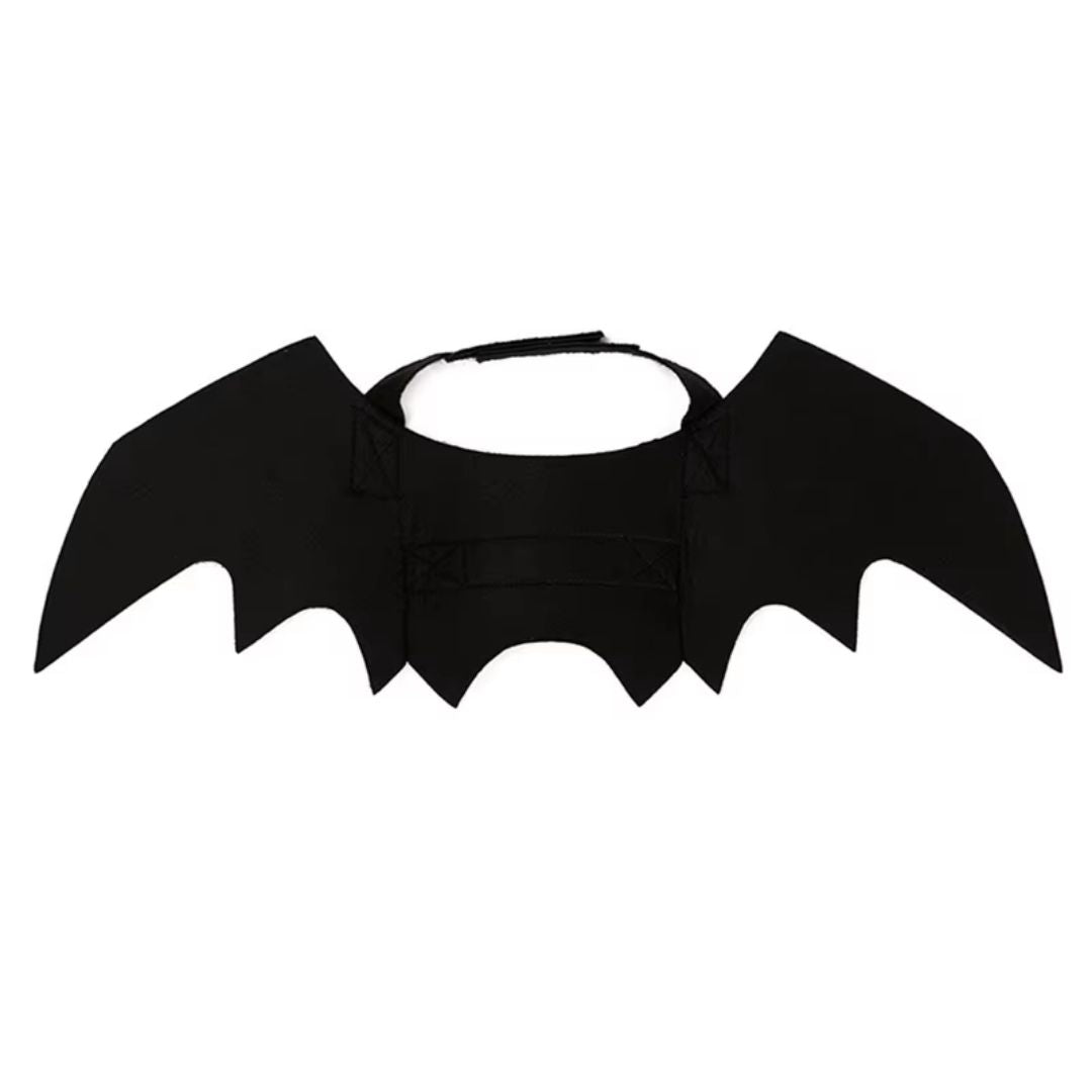 Bat Wings Pet Costume