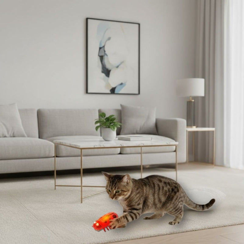 Electric Insect Toy for Cats