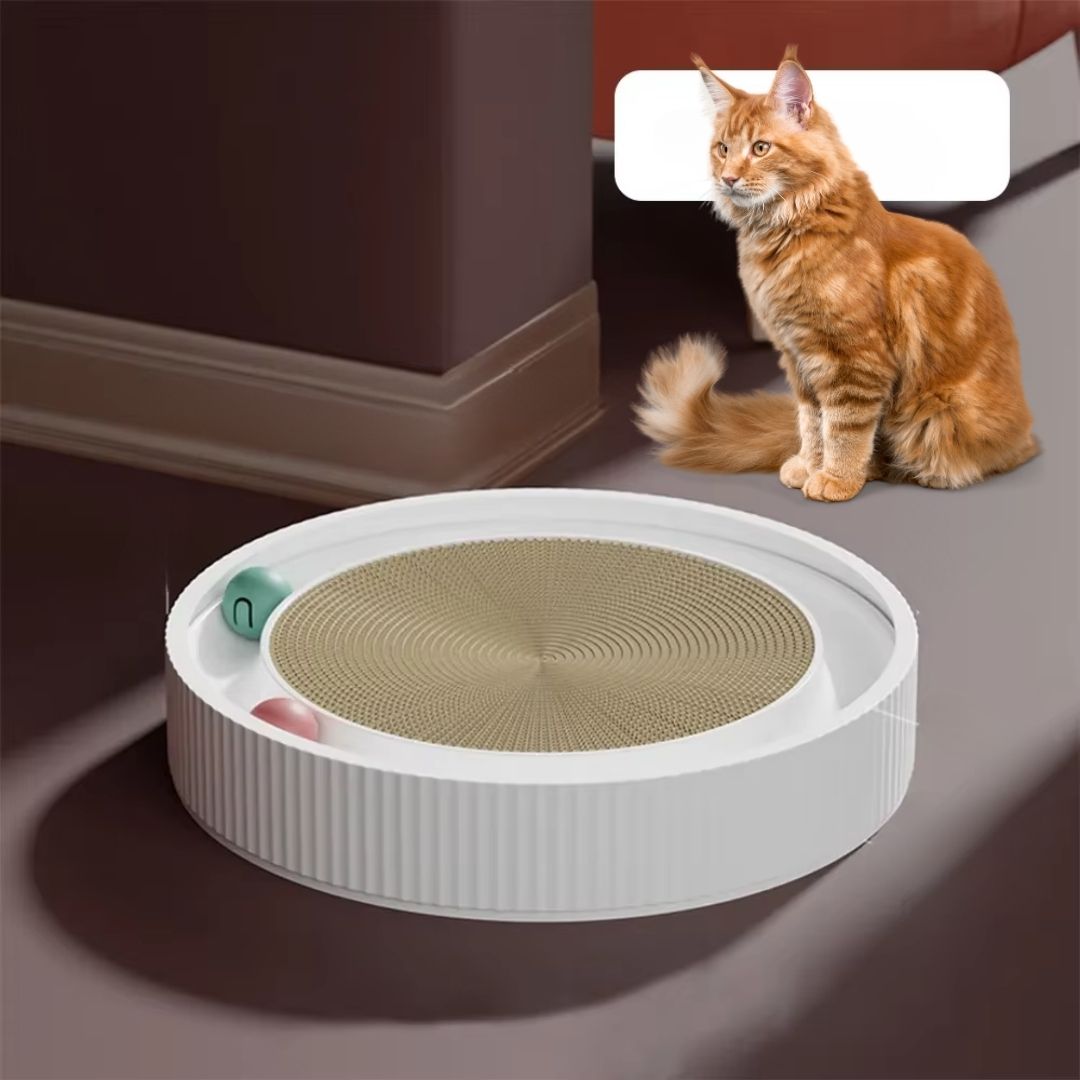Round Cat Scratcher Bed with Ball