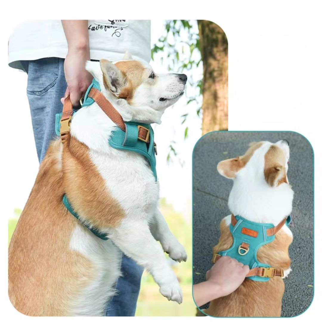 No-Pull Dog Harness