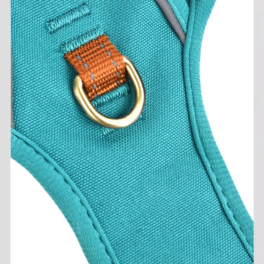 No-Pull Dog Harness