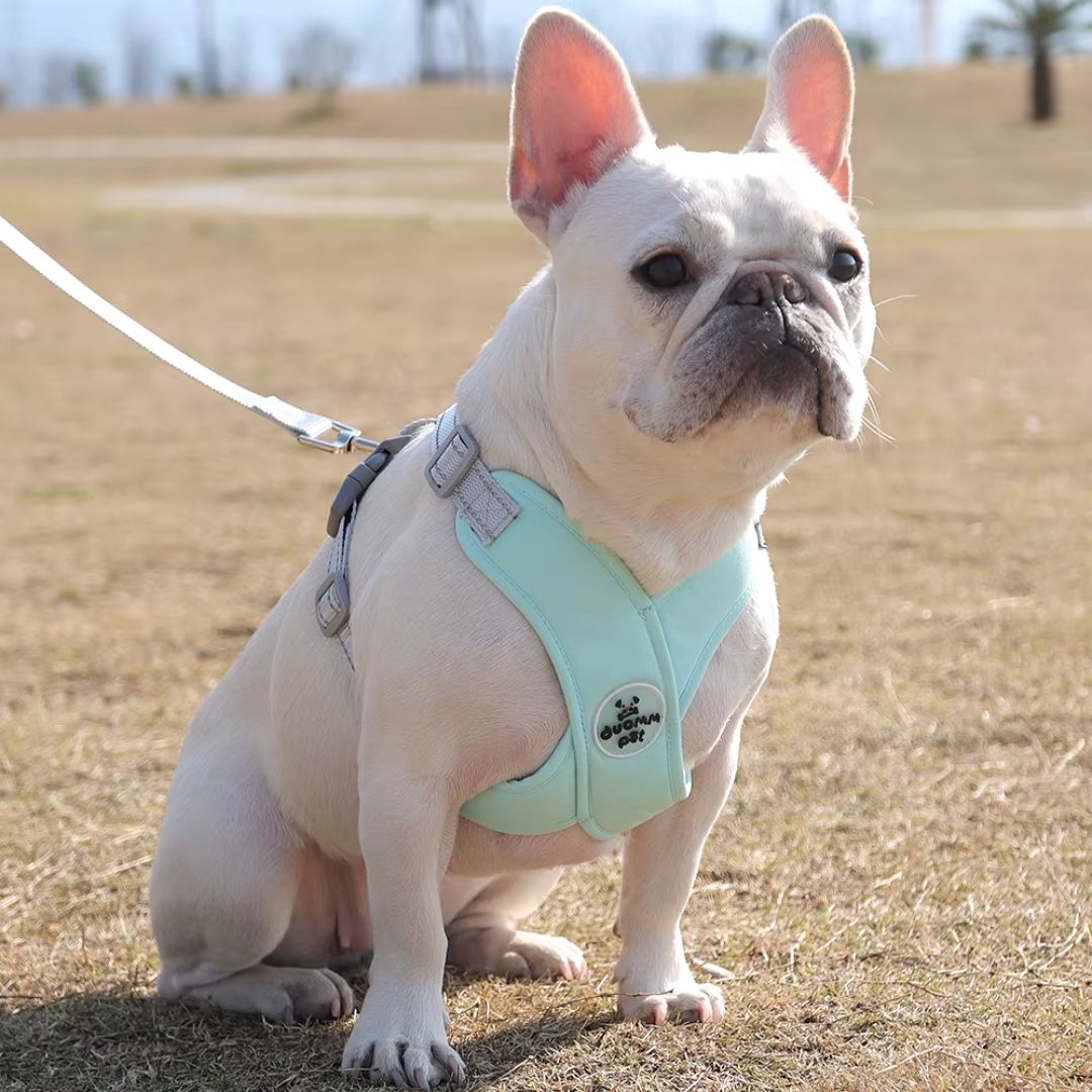 Adjustable Reflective Harness Vest