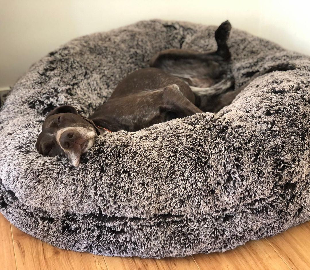 Cloud Pet Bed