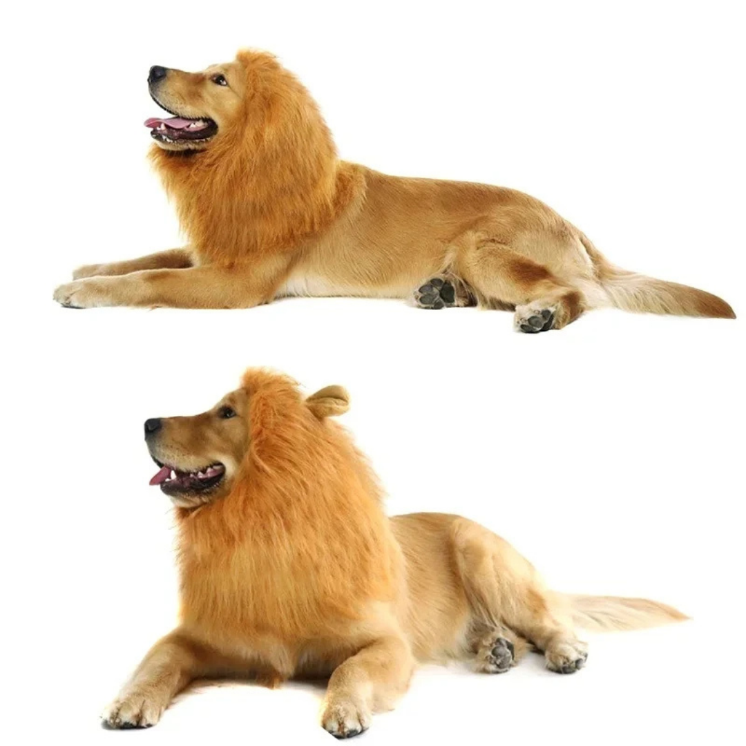 Lion Mane Costume for Dogs and Cats