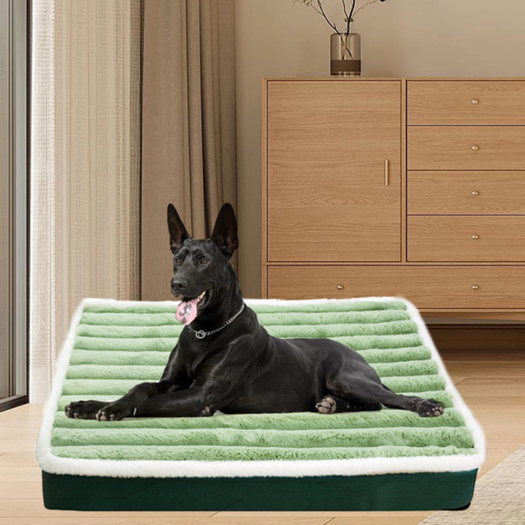 King Pet Bed