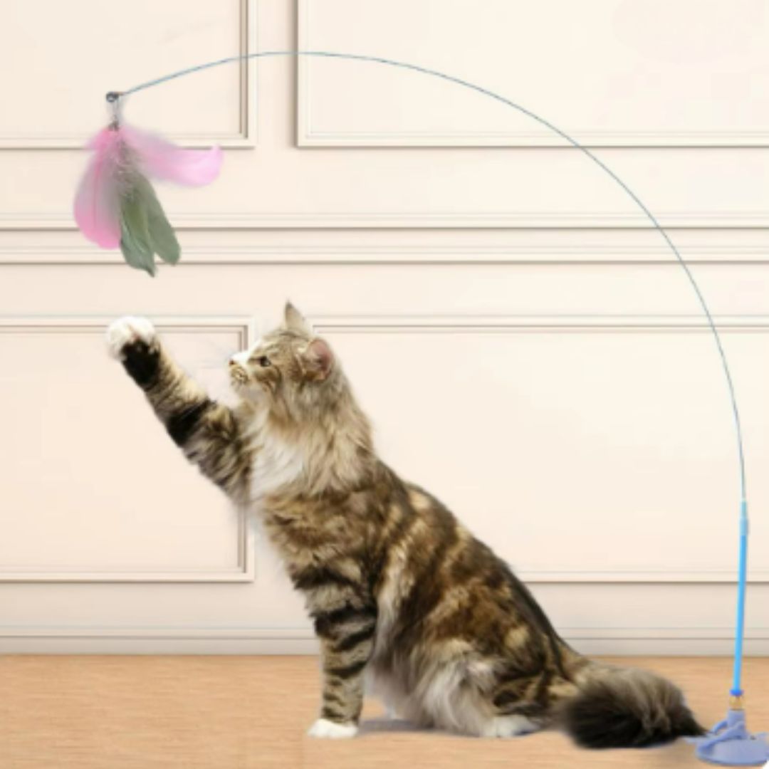 Interactive Suction Cup Wand