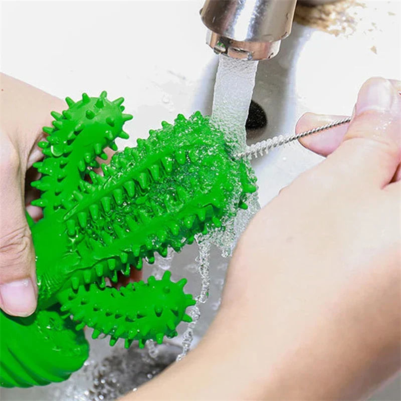 Cactus Dental Chew Toy for Dogs