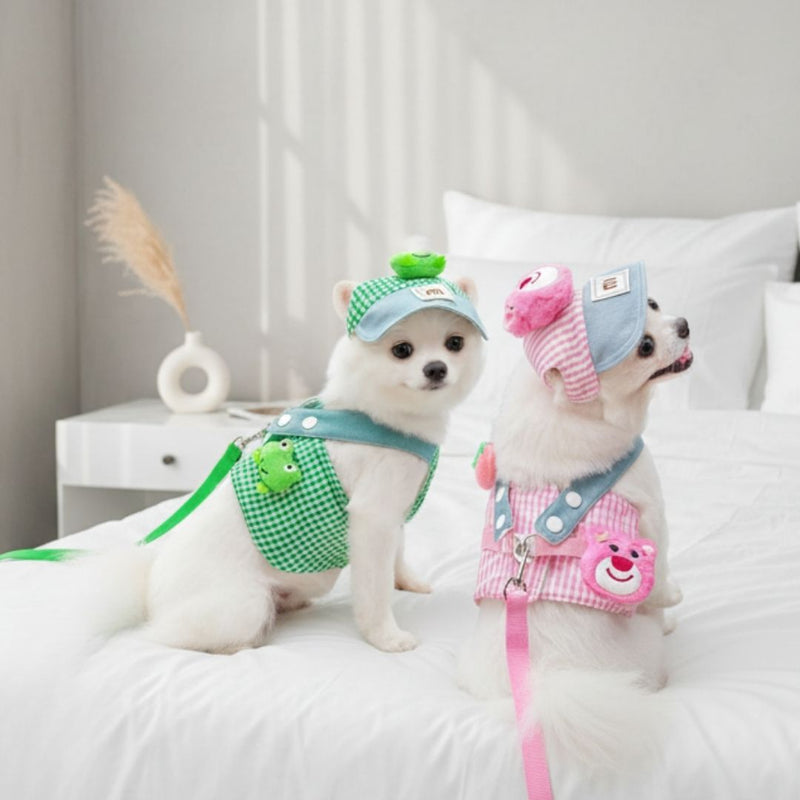 Luxury Pet Cap and Harness Set