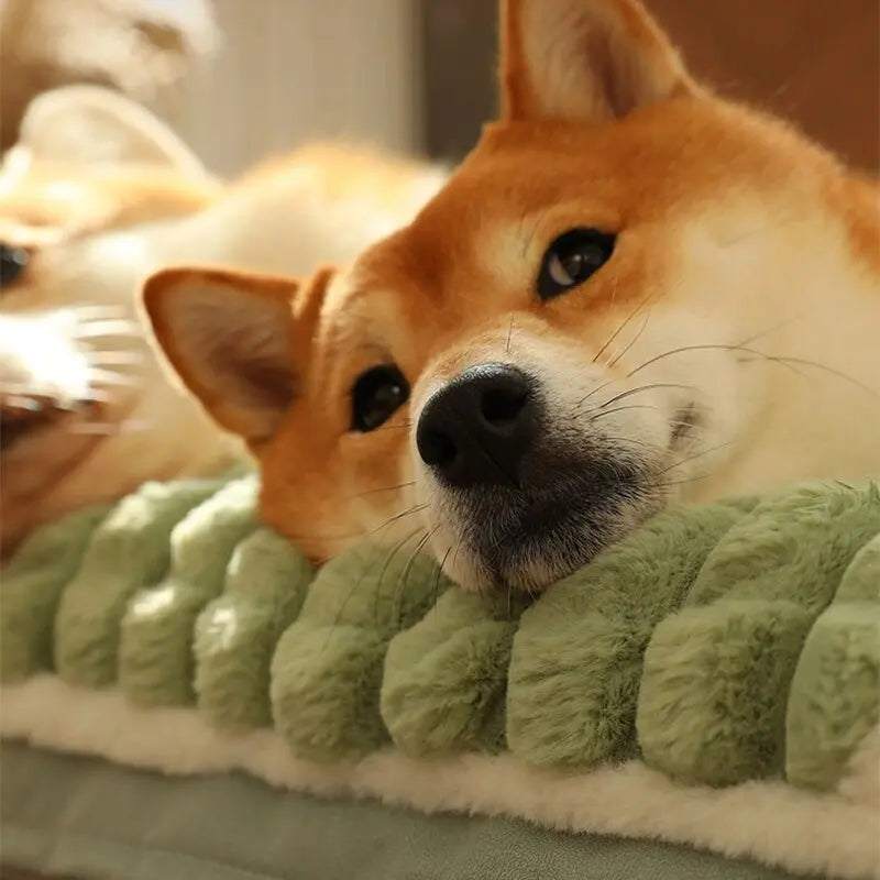 Peace Pet Bed