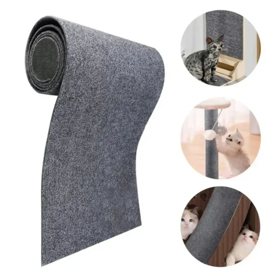 Cat Scratching Carpet