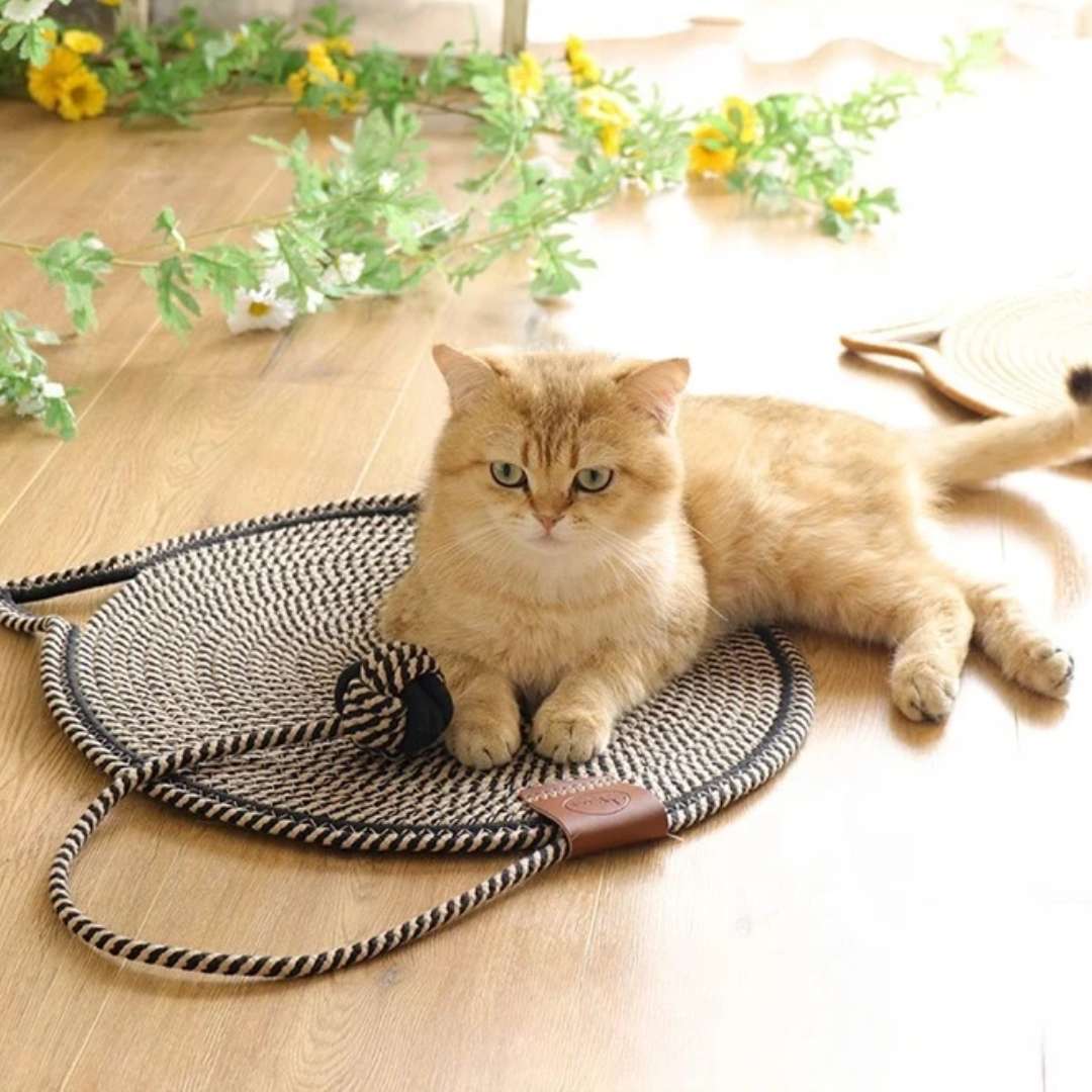 Cat Scratching Mat