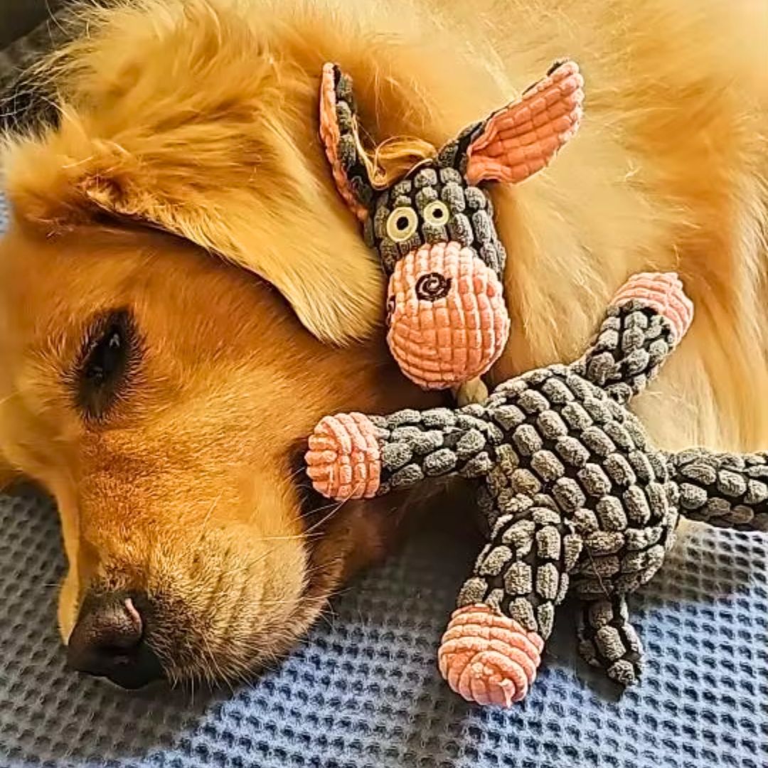 Zigzag Squeaky Toy for Pets