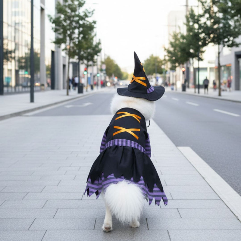 Witch Costume for Dogs and Cats