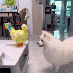 Interactive Egg-Laying Chicken Toy