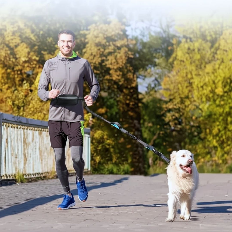 Hands-Free Dog Leash