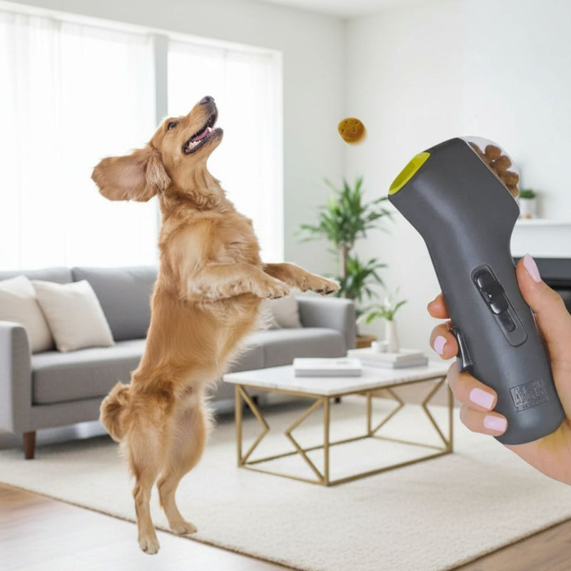 Interactive Treat Launcher