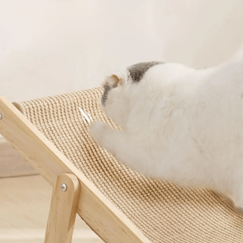 2-in-1 Armchair Cat Scratcher