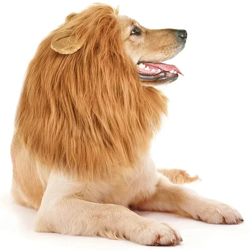 Lion Mane Costume for Dogs and Cats