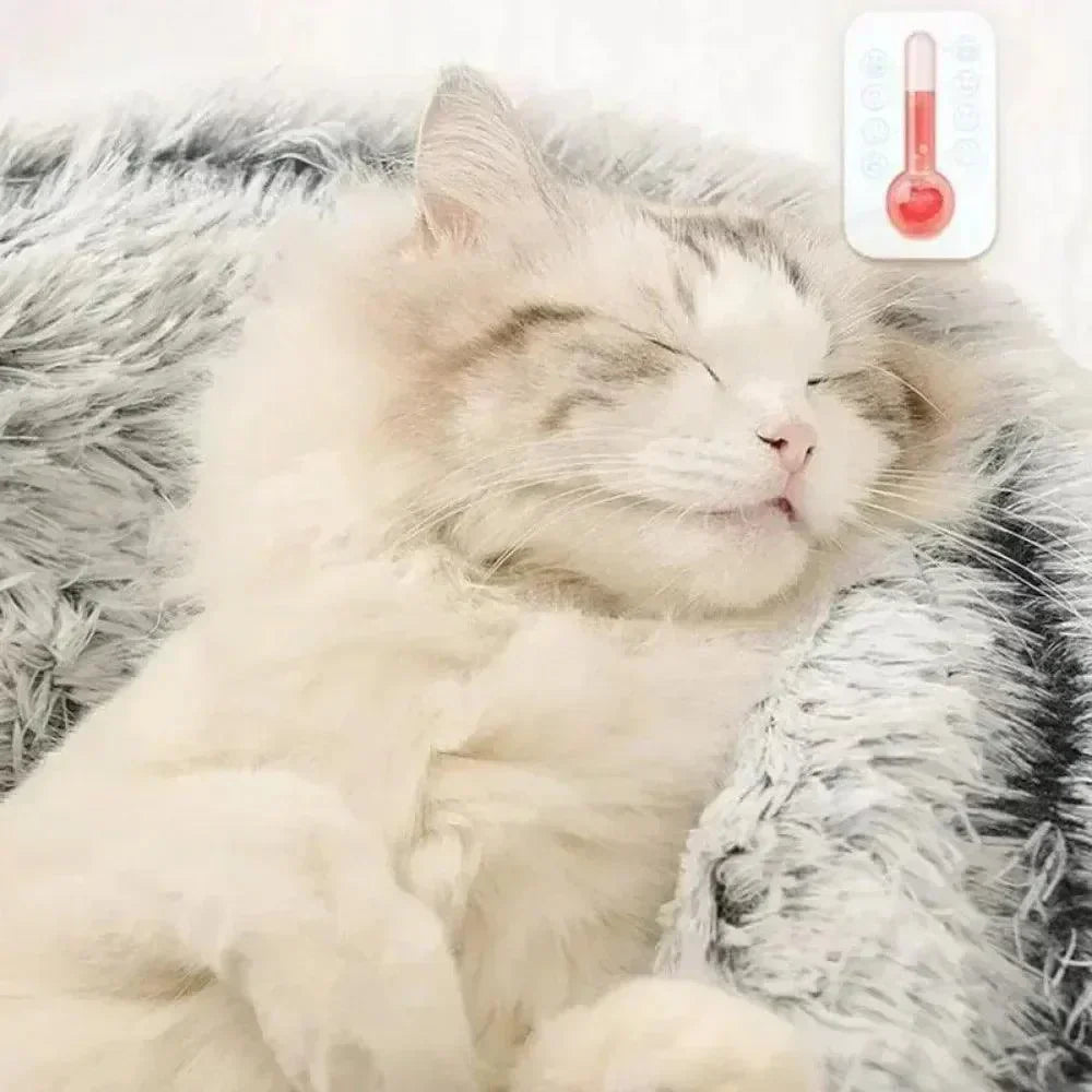 Warm Plush Bed for Cats