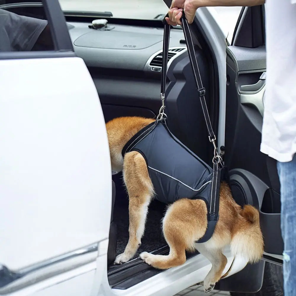 Orthopedic Support Harness for Dogs