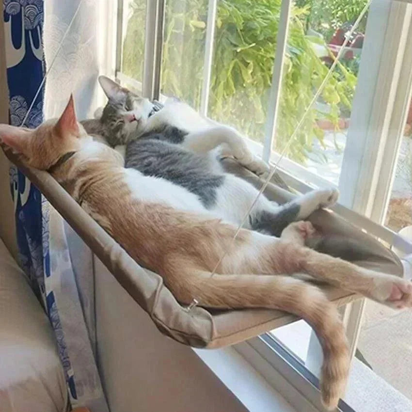Window-Mounted Cat Bed