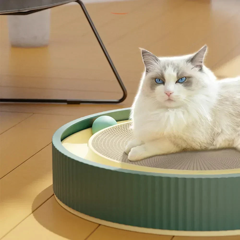 Round Cat Scratcher Bed with Ball