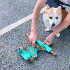 No-Pull Dog Harness