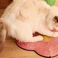 Sisal Cat Scratcher