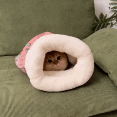 Cozy Cat Sleeping Bag