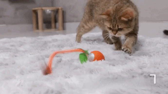 Rechargeable Interactive Carrot Toy