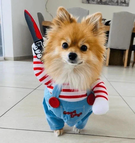 Chucky Dog Costume