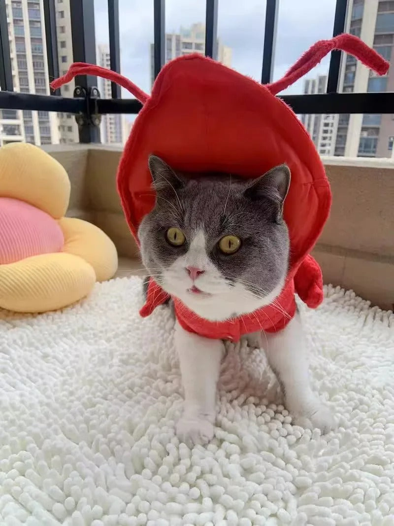 Lobster Pet Costume