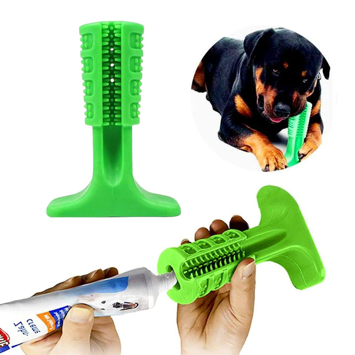 Dog Dental Chew Toy